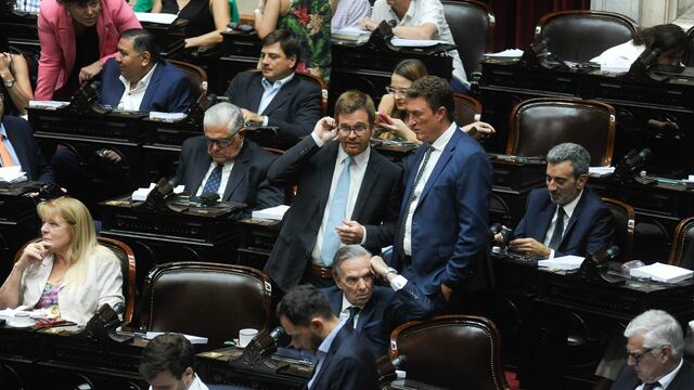 El oficialismo cordobés es parte de la ofensiva opositora en Diputados (Foto: Federico López Claro)