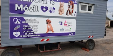 Se realizará en Tres Arroyos esterilizaciones de canes y felinos en un móvil quirúrgico