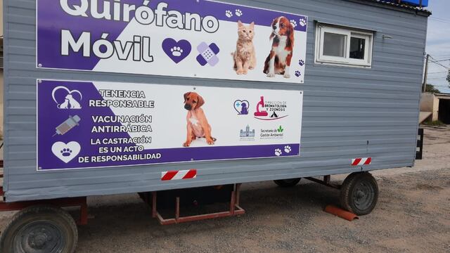 Se realizará en Tres Arroyos esterilizaciones de canes y felinos en un móvil quirúrgico