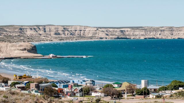 Tras el censo, un vecino de Puerto Madryn se dirigió a la costa y se llevó una grata sorpresa.