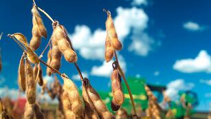 La agricultura fue uno de los rubros más afectados.