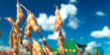 La agricultura fue uno de los rubros más afectados.
