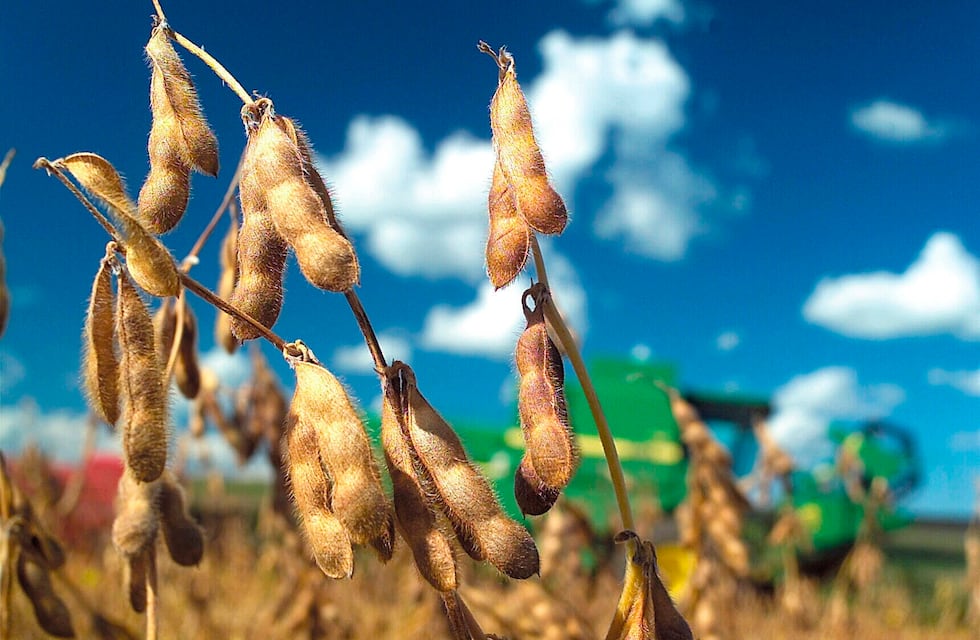 Numeros en rojo y volatiles