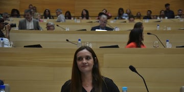 Asumió Noelia Brizuela en lugar de Oscar Gonzalez. Legislatura Unicameral sesión por la licencia de Oscar Gonzalez (Facundo Luque / La Voz)
