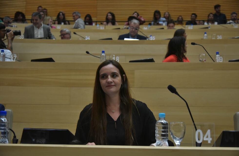 El desconocimiento de la legisladora suplente de González respecto a su reemplazo: “Entendí otra cosa”