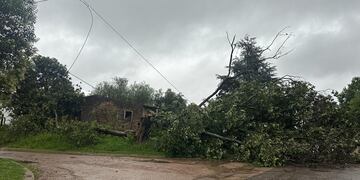Temporal Gualeguaychú