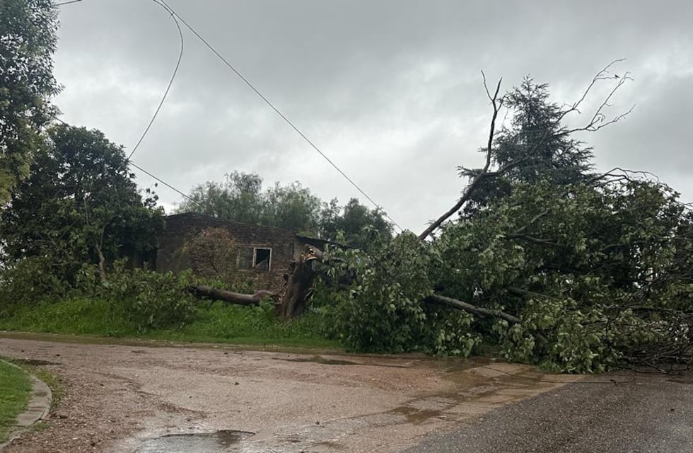El ejecutivo municipal de Gualeguaychú ordenó la asistencia para los afectados por la tormenta