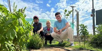 Impulsando huertas comunitarias.