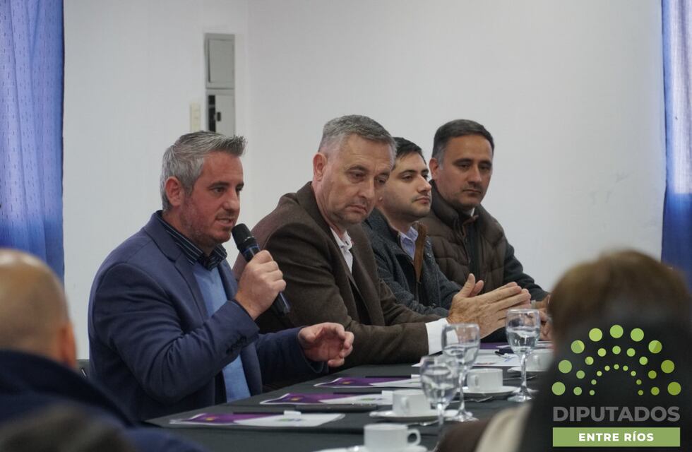 Con apoyo de Diputados, Colón conformó una mesa intersectorial de Salud Mental