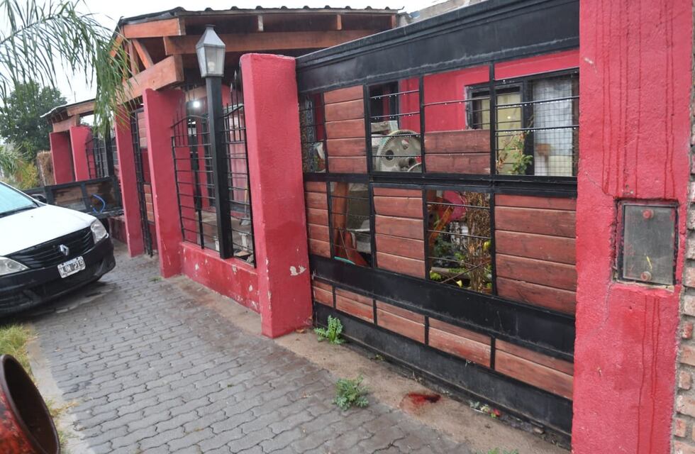 Habló un vecino atacado por los dogos que mataron a Trinidad en Córdoba: “Había muchísima sangre”