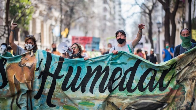 Ambientalistas exigen que se apruebe la Ley de Humedales.