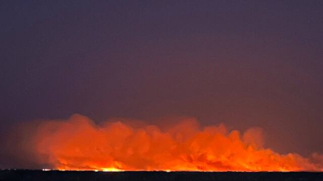 Los incendios en las islas del Delta del río Paraná continúan siendo un foco activo que afecta a las provincias de Entre Ríos, Santa Fe y Buenos Aires.