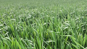 El joven fue visto por última vez en Marcos Juárez.