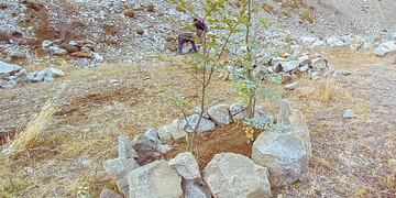Secretaría de Ambiente avanza en el proceso de restauración de las 13 hectáreas que hoy se encuentran dentro de la Reserva Provincial Río Valdez.