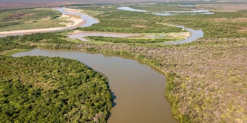 El regreso del guanaco al Parque Nacional El Impenetrable marca un hito en la restauración ecológica del norte argentino.