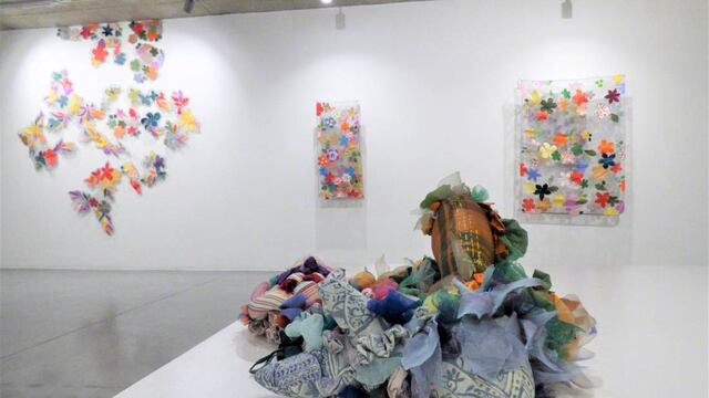 Muestras artística en Rafaela