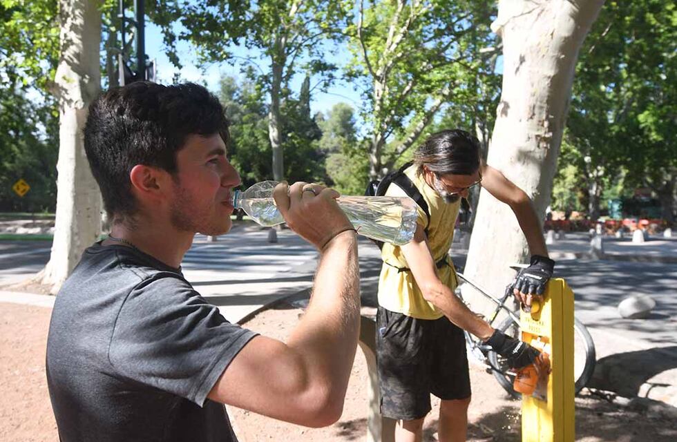 Clima en Mendoza: la ola de calor se intensifica