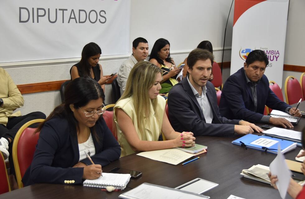 Jóvenes legisladores conducen estratégicas comisiones parlamentarias en Jujuy