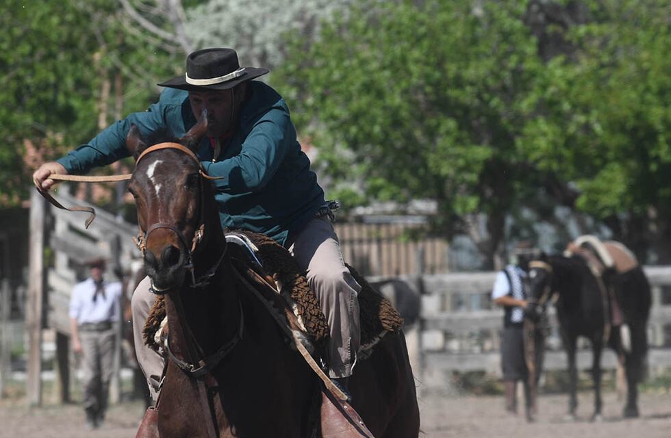 Repudio al proyecto que busca declarar deporte a las destrezas criollas y deportistas a los jinetes