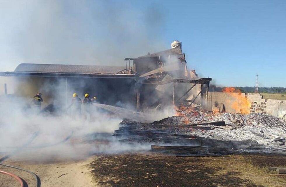Incendios en Concordia: las llamas destrozaron un aserradero