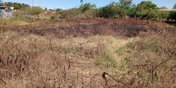 Puerto Iguazú: incendio de pastizales casi causa una catástrofe.