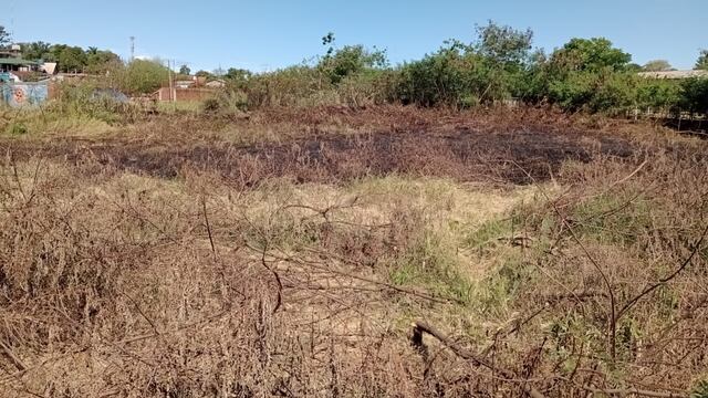 Puerto Iguazú: incendio de pastizales casi causa una catástrofe.