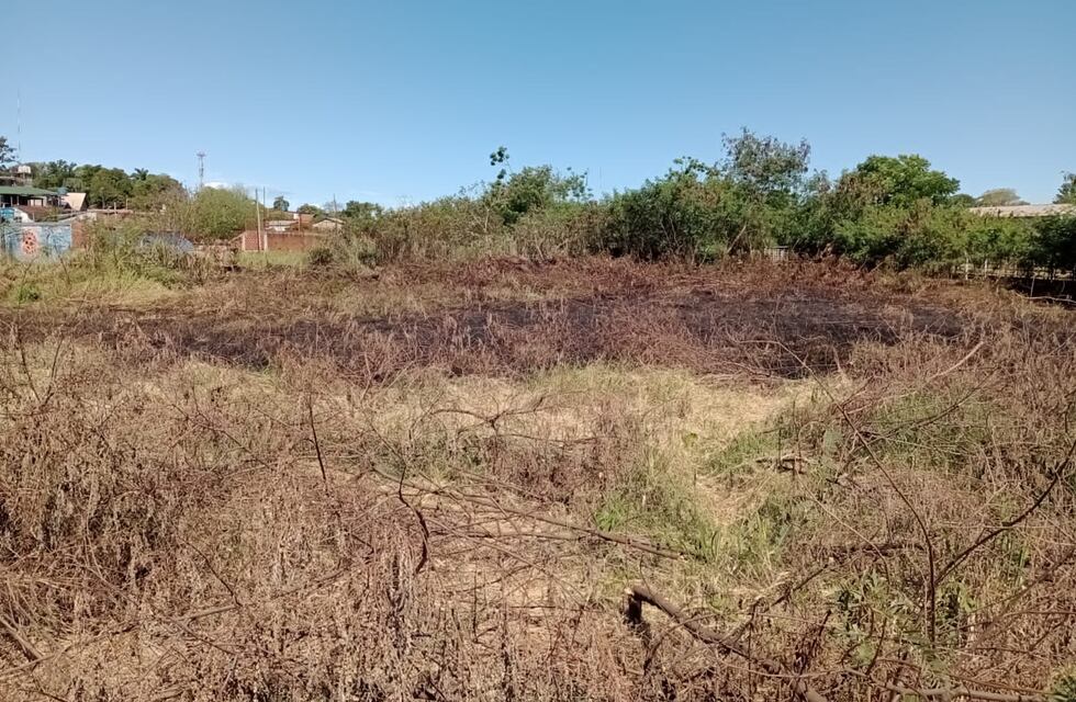 Puerto Iguazú: incendio de pastizales casi causa una catástrofe