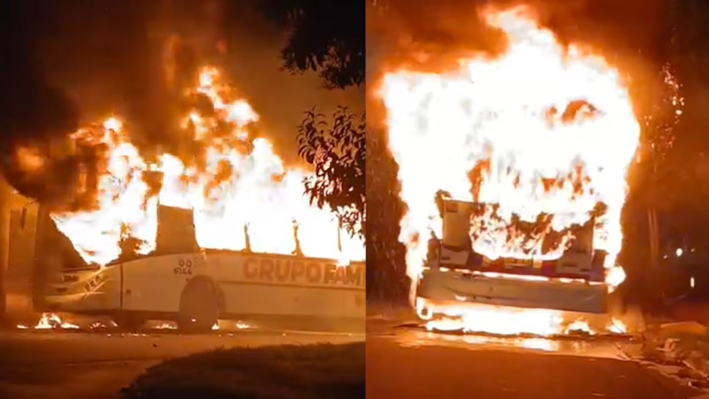 Las imágenes de las llamas en barrio Parque Horizonte.