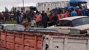 Vecinos de Río Cuarto faenaron una vaca de un camión que volcó.