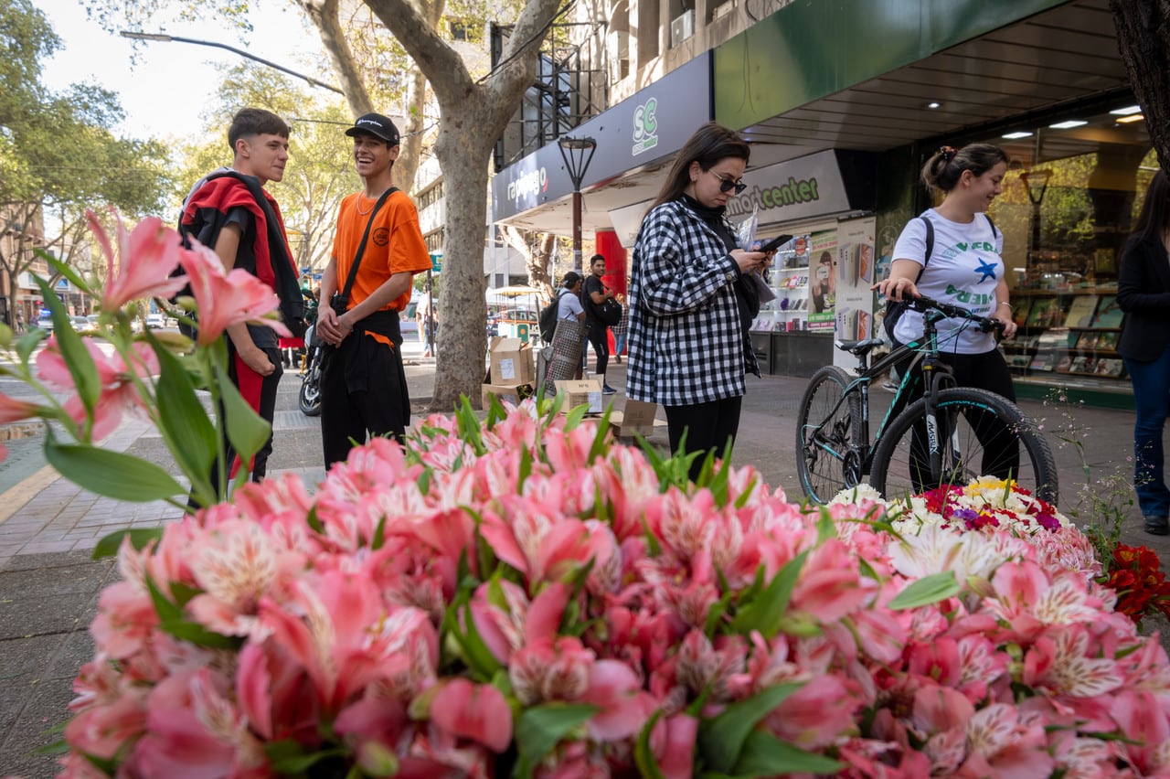21 de septiembre. En este comienzo de primavera también se festeja el día del estudiante. 

Foto: Ignacio Blanco / Los Andes 

