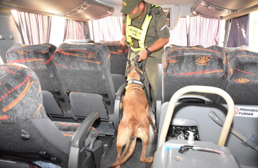 Partió de Puerto Iguazú un ómnibus con 10 kilogramos de marihuana
