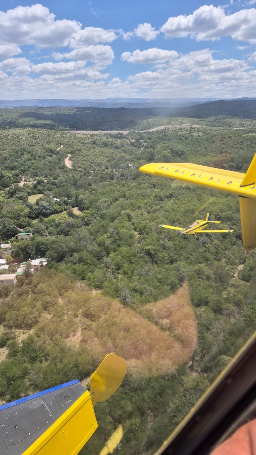 Operativo Preventivo de Incendios
