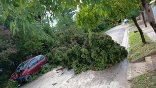 Arboles caídos, río crecido y cortes en Anisacate.