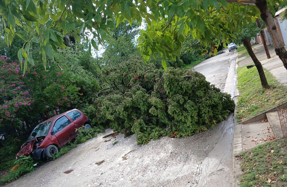 “Vientos huracanados”: las impresionantes imágenes del desastre en Anisacate