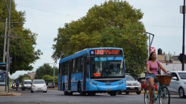 Actualmente hay 583 unidades del Transporte Urbano de Pasajeros (TUP)
