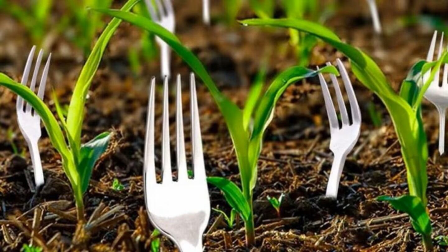 Esta técnica puede usarse en macetas de balcones, huertas urbanas y jardines domésticos con excelentes resultados.