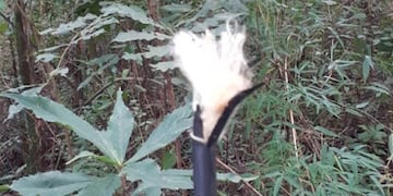 El servicio de Cablevisión se vio interrumpido por cortes en cables de fibra óptica