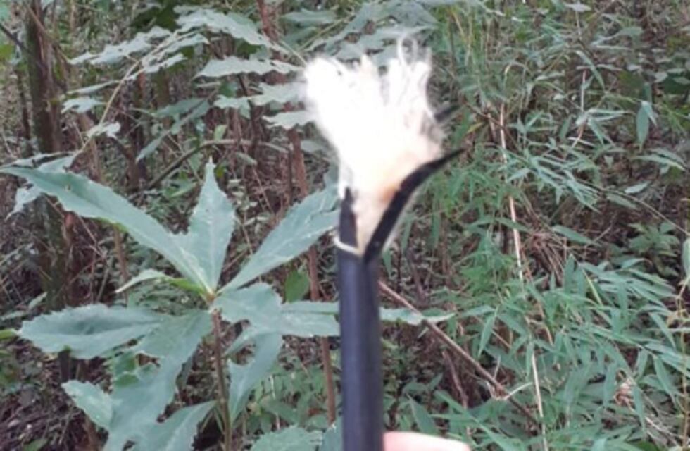 El servicio de Cablevisión se vio interrumpido por cortes en cables de fibra óptica