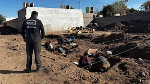 Encontraron restos óseos en Campo de la Ribera.