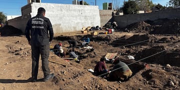 Encontraron restos óseos en Campo de la Ribera.