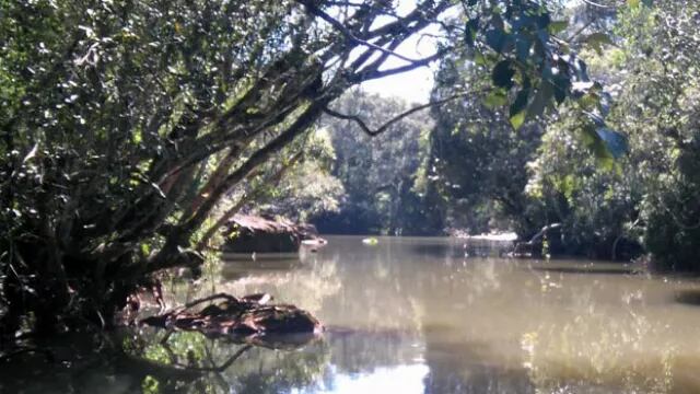 Intensa búsqueda de un joven en San Vicente.