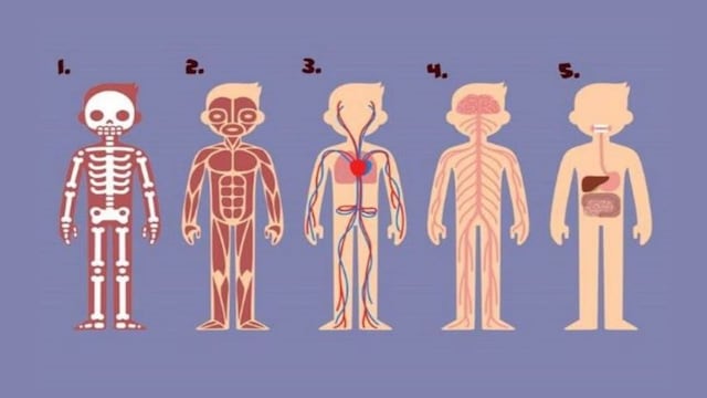 Test Psicológico: elige cuál de estas partes del cuerpo es la más importante y descubrí qué cambio tenés que hacer en tu vida.
