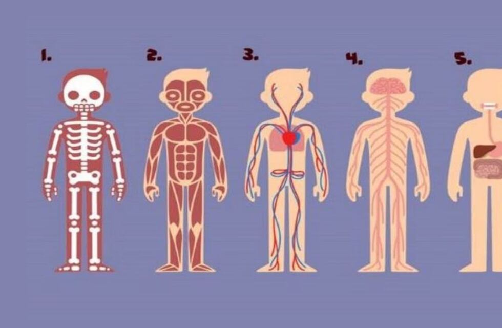 Elige qué parte del cuerpo es la más importante y descubrí qué cambio tenés que hacer en tu vida