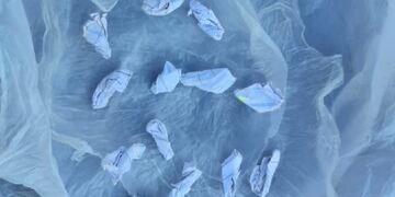 Circulaba sin documentación y con dosis de cocaína encima: terminó detenido. Policía de Misiones