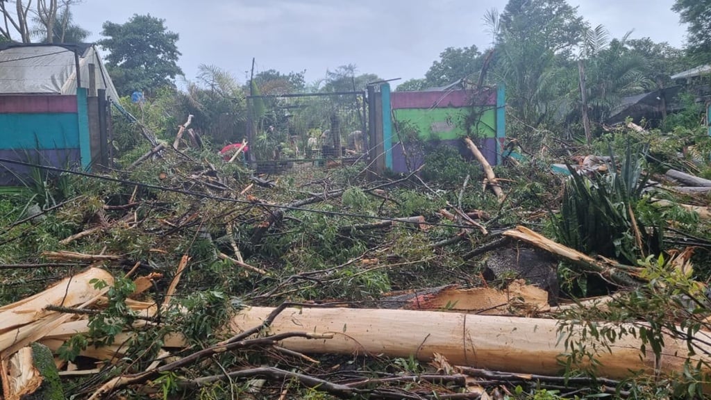 Los vientos alcanzaron los 80 Km/hora.