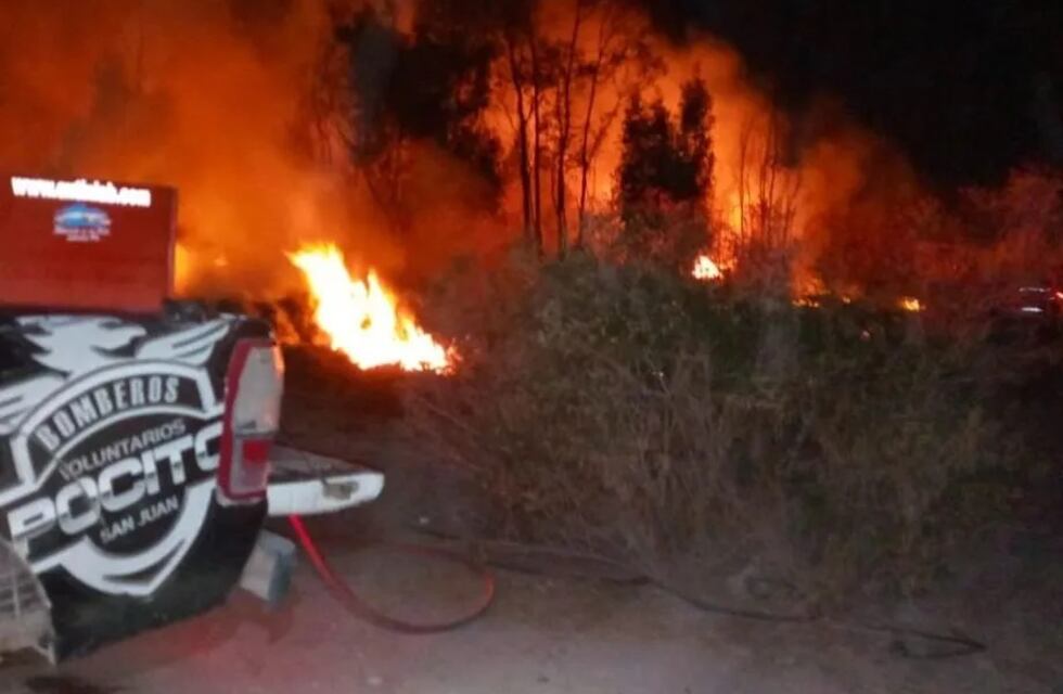 Murieron tres caballos en un voraz incendio en Rawson: habían quedado atados