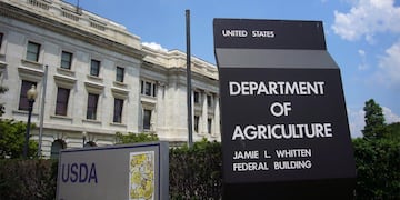 USDA tiene un análisis de diferencia en las existencias de los principales cultivos y prevee que se cultivará meno de soja