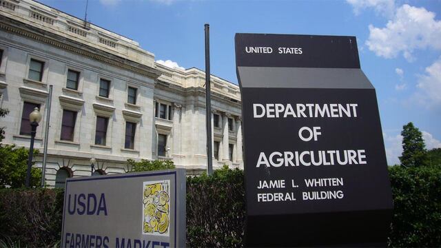 Producción mundial de trigo, maíz y soja según USDA Abril 2021