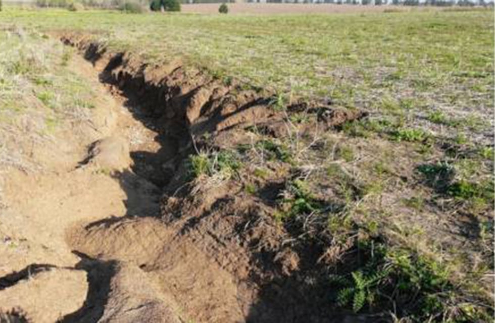 Servicios ambientales de la conservación del suelo