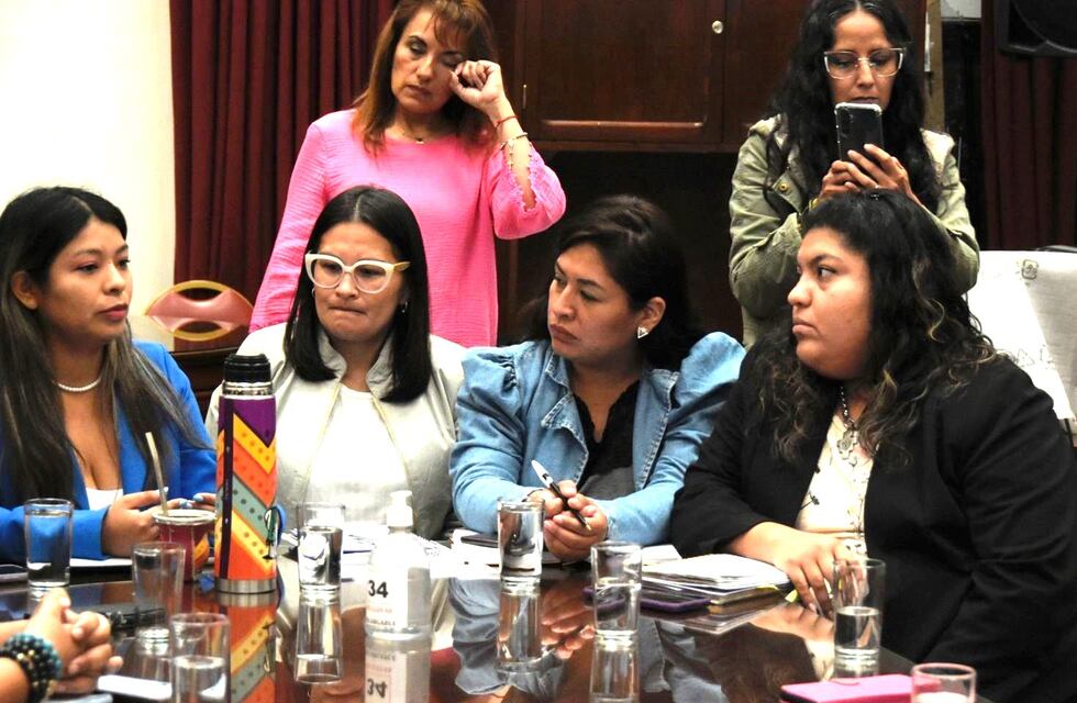 Unas cien mil personas vendrán a Jujuy al Encuentro de Mujeres en octubre